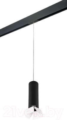 Трековый светильник Lightstar Rullo PRORP497436