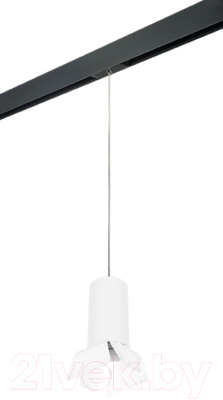 Трековый светильник Lightstar Rullo PRORP6486486