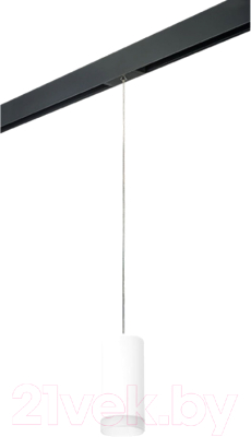 Трековый светильник Lightstar Rullo PRORP648680