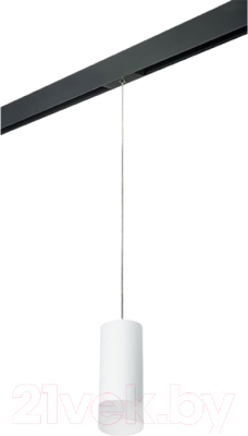 Трековый светильник Lightstar Rullo PRORP648681