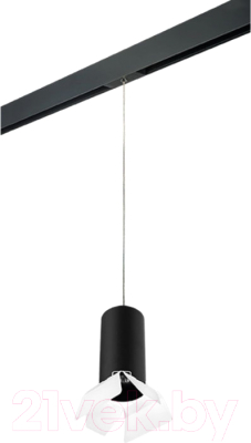 Трековый светильник Lightstar Rullo PRORP6487486