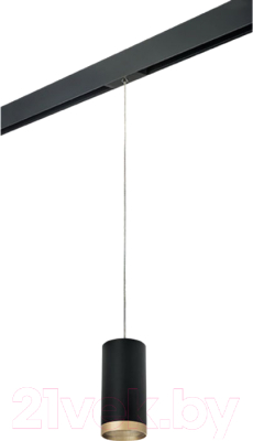Трековый светильник Lightstar Rullo PRORP648790