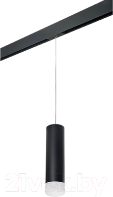 Трековый светильник Lightstar Rullo PRORP649781