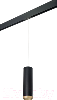 Трековый светильник Lightstar Rullo PRORP649790