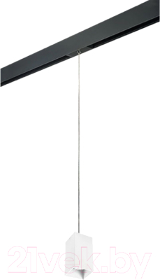 Трековый светильник Lightstar Rullo PRORP6586
