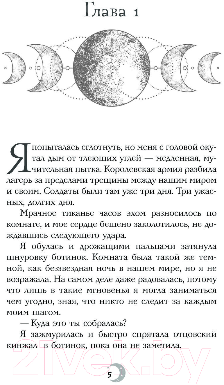 Художественная книга АСТ Королевство звезд и теней / 9785171564421 (Рене Х.) — фото 3