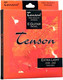 Струны для электрогитары Gewa Tenson / F600.800 - 