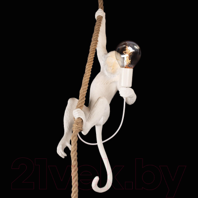 Потолочный светильник Loftit Monkey 10314P