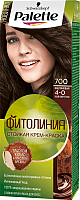 

Крем-краска для волос Palette, Фитолиния 700 / 4-0