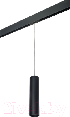 Трековый светильник Lightstar Rullo PRORP497