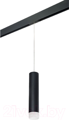 Трековый светильник Lightstar Rullo PRORP49731