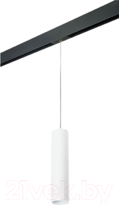 Трековый светильник Lightstar Rullo PRORP496
