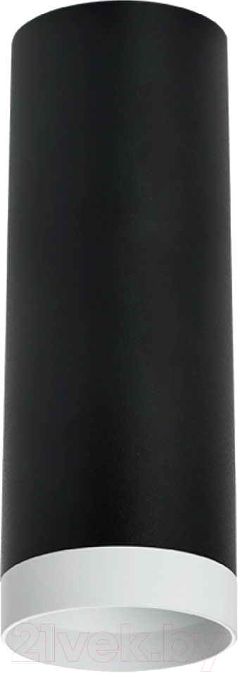 Точечный светильник Lightstar Rullo R4873436