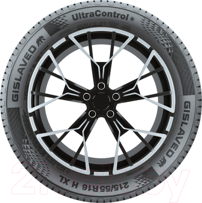 Летняя шина Gislaved UltraControl 195/65R15 91V