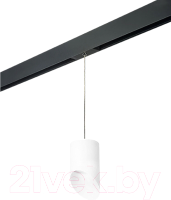 Трековый светильник Lightstar Rullo PRORP348686
