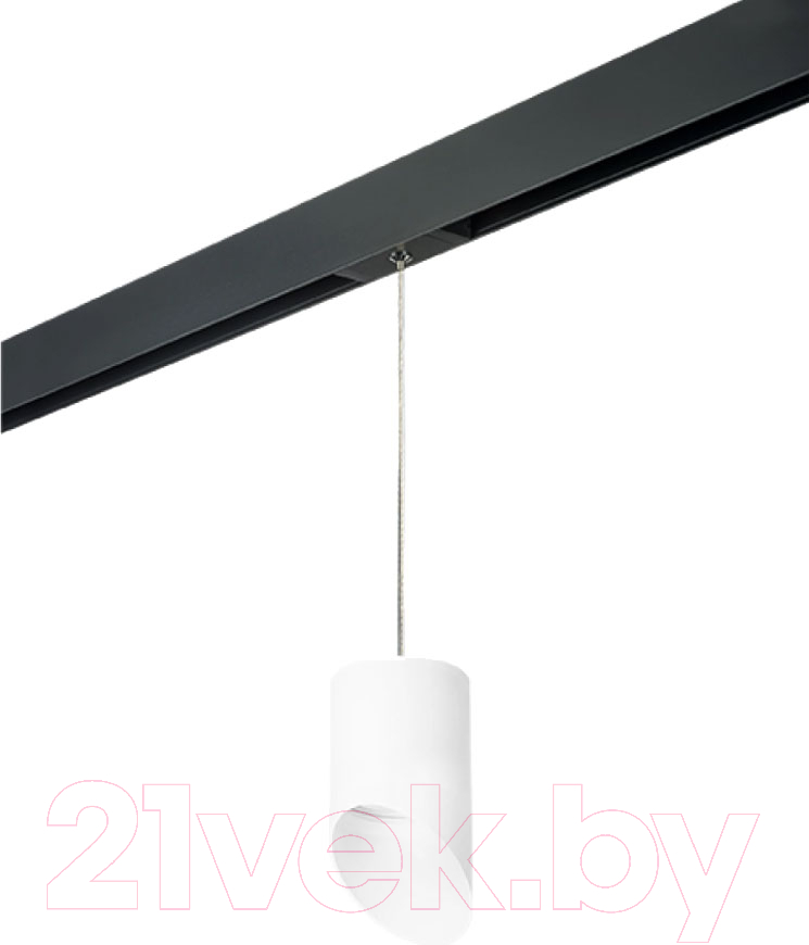 Трековый светильник Lightstar Rullo PRORP348686
