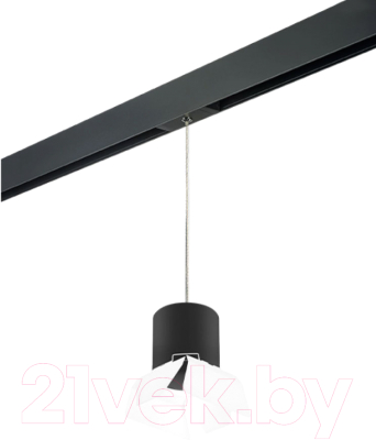 Трековый светильник Lightstar Rullo PRORP3487486