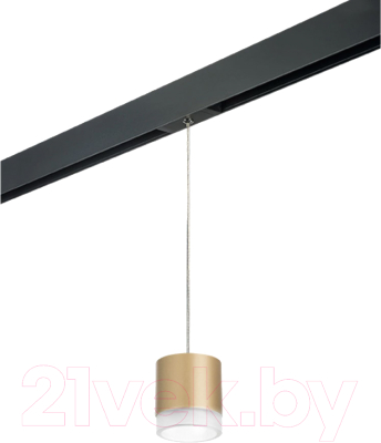 Трековый светильник Lightstar Rullo PRORP349080