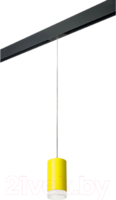 Трековый светильник Lightstar Rullo PRORP43330
