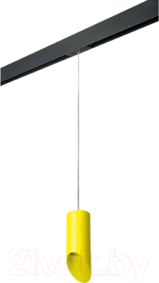 Трековый светильник Lightstar Rullo PRORP43333