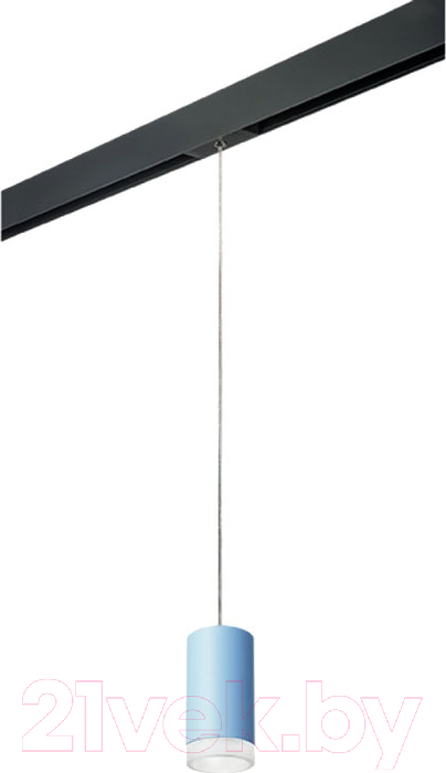 Трековый светильник Lightstar Rullo PRORP43530