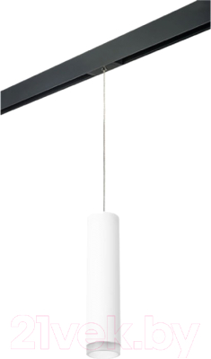 Трековый светильник Lightstar Rullo PRORP49630