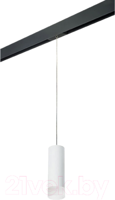 Трековый светильник Lightstar Rullo PRORP48631