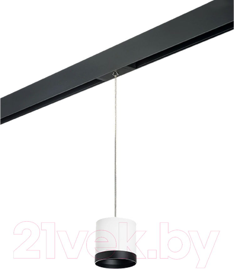Трековый светильник Lightstar Rullo PRORP34863487