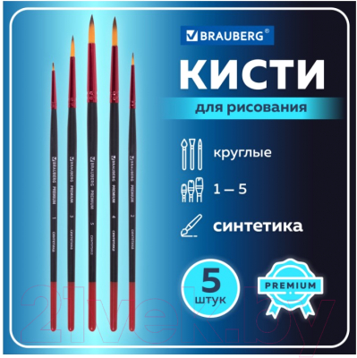 Набор кистей Brauberg Premium / 201025 (5шт)