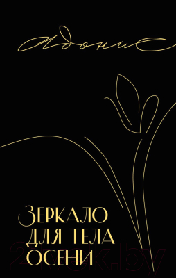 Книга Inspiria Зеркало для тела осени / 9785041851651 (Адонис)