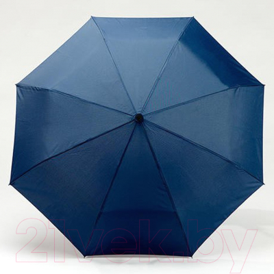 Зонт складной Colorissimo Cambridge / US20NB (синий)