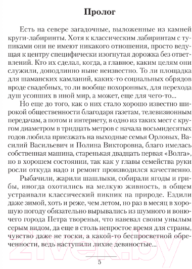 Художественная книга АСТ Князь Рус. Посланец Сварога / 9785171601171 (Лопатин Г.) — фото 5