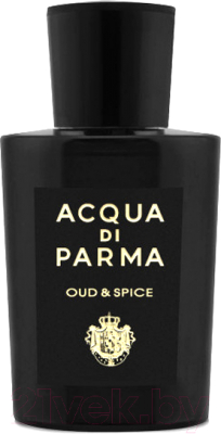 Парфюмерная вода Acqua Di Parma Oud & Spice (100мл)