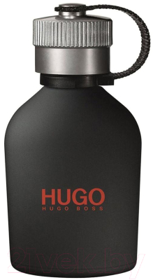 Туалетная вода Hugo Boss Just Different Man (100мл)