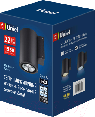 Бра уличное Uniel ULU-S21С-22W/6400K IP65 / UL-00010850