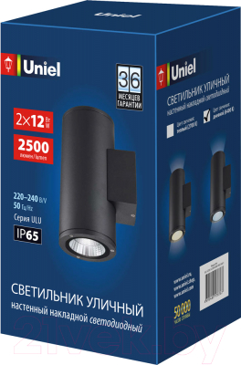Бра уличное Uniel ULU-S22D-2x12W/6400K IP65 / UL-00010848