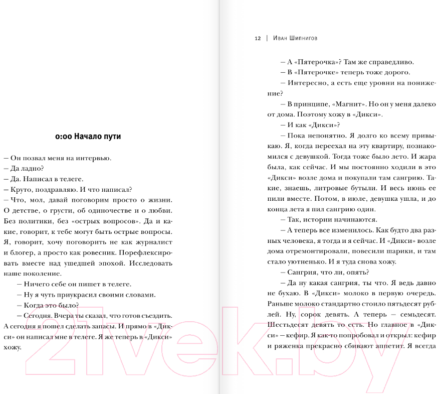 Художественная книга АСТ Непонятный роман / 9785171576844 (Шипнигов И.В.) — фото 6