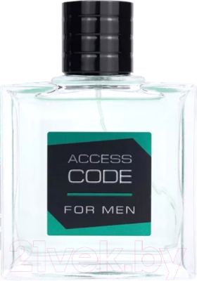 Туалетная вода Delta Parfum Access Code For Men (100мл)