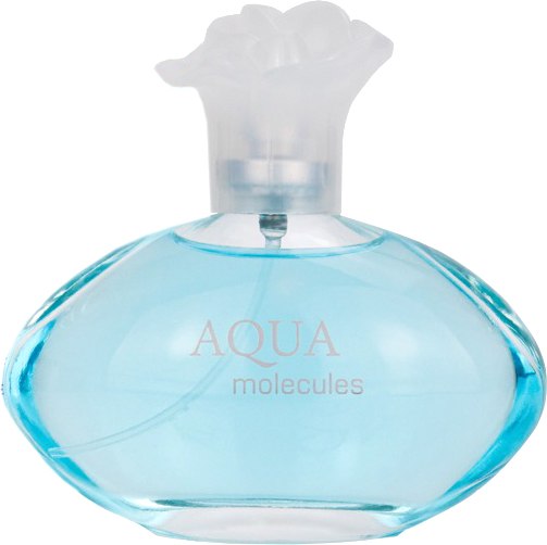 Туалетная вода Delta Parfum Aqua Molecules (100мл)