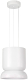 Потолочный светильник Divinare Opal 5247/33 SP-10 - 