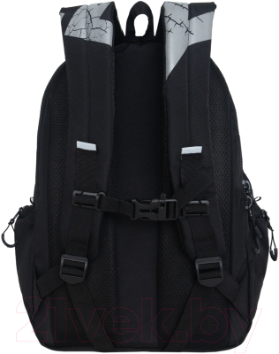 Рюкзак Grizzly RU-433-1 (черный)