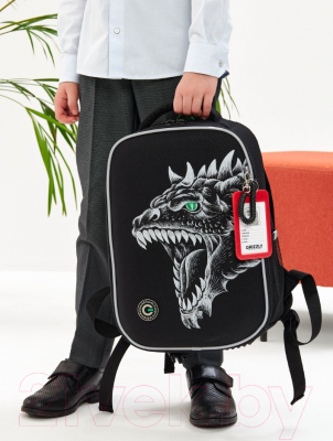 Школьный рюкзак Grizzly RAw-497-3 (черный)