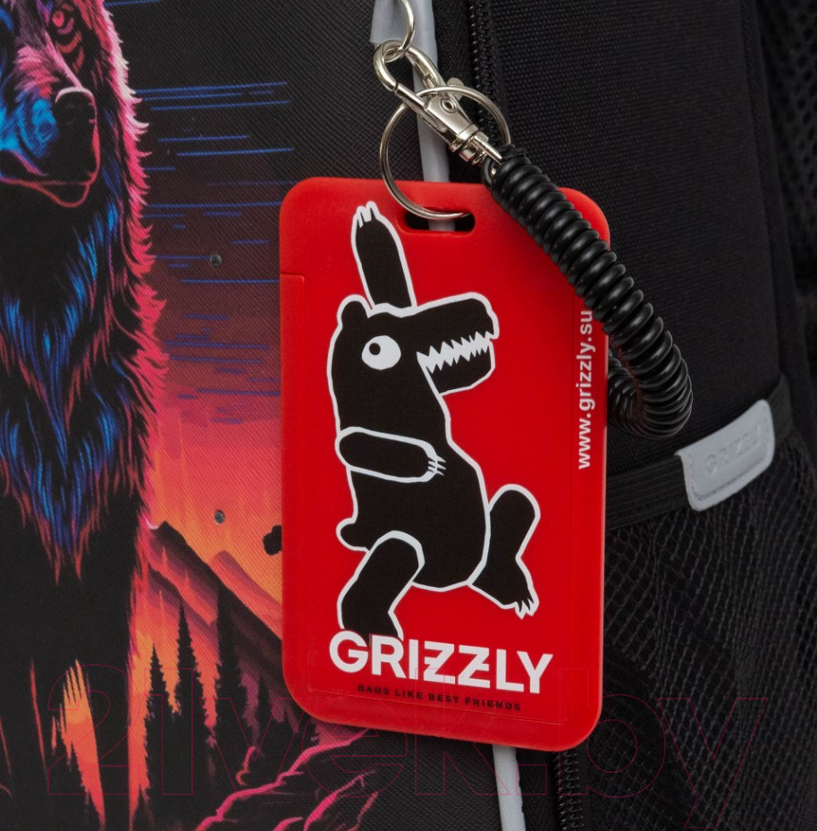 Школьный рюкзак Grizzly RAw-497-5