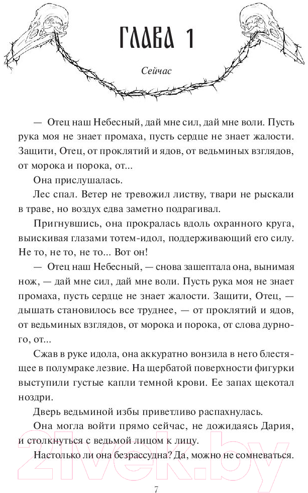 Художественная книга МИФ Мрачный Взвод. Ведьмин час / 9785002141845 (Хоффман Р.) — фото 3