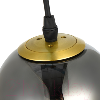 Потолочный светильник Arte Lamp Freddie A2231SP-1PB