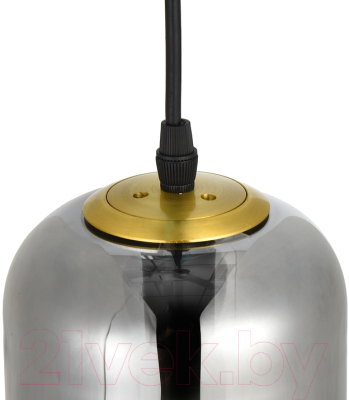 Потолочный светильник Arte Lamp Freddie A2234SP-1PB