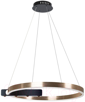 Потолочный светильник Arte Lamp Veritate A2221SP-1BR