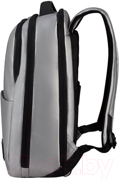 Рюкзак Samsonite Wander Last KN9*08 005