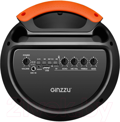 Портативная колонка Ginzzu GM-239