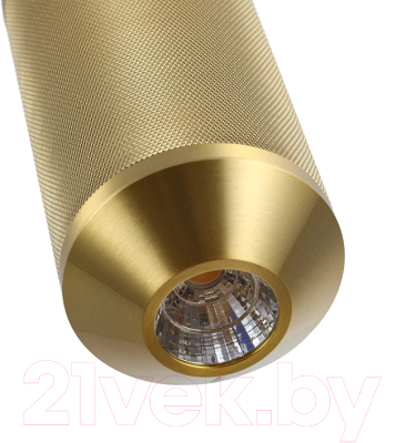 Потолочный светильник Arte Lamp Omicron A1134SP-7PB